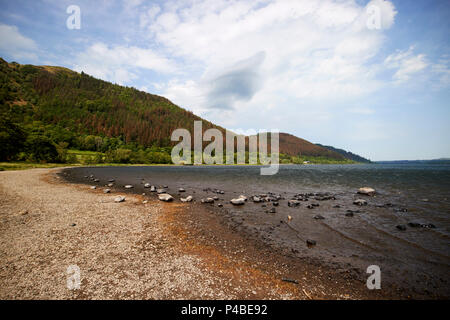 Rive del lago Bassenthwaithe al punto blackstock guardando verso la vendita è sceso nel Lake District Cumbria Inghilterra England Regno Unito Foto Stock