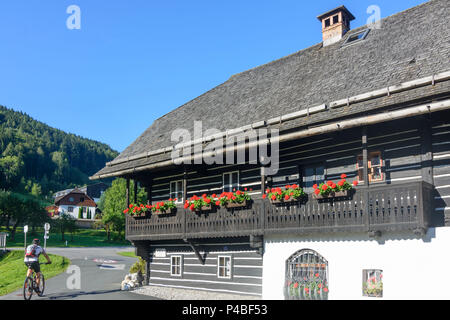 Ossiach, casa tradizionale, Kärnten, Carinzia, Austria Foto Stock