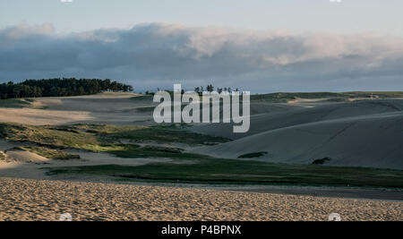 Situato in San'in Kaigan Geoparco e stretching 16km da est a ovest, Tottori dune di sabbia sono uno dei migliori dune costiere del paese. Foto Stock