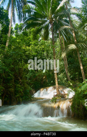 L'acqua cade in Cebu Filippine Foto Stock