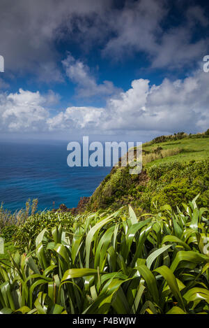 Portogallo Azzorre, l'isola di Faial, Baia de Ribeira, vista in elevazione del Porto da Faja Foto Stock