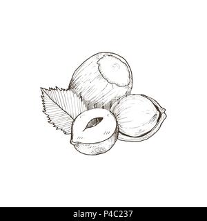 Vettore isolato il dado Illustrazione Vettoriale