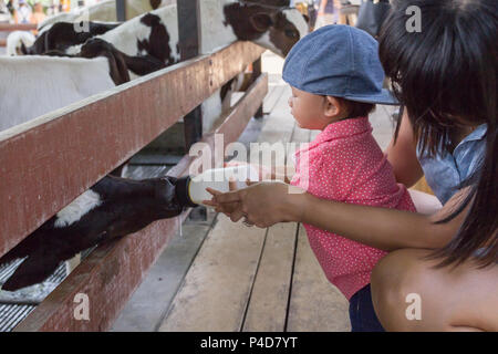 Asian bella madre è prendersi cura il tuo simpatico new born baby alimentando il latte per il bambino mucca in fattoria, attività la famiglia per migliorare l apprendimento experienc Foto Stock