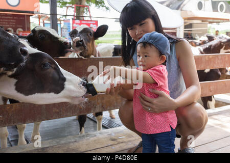 Asian bella madre è prendersi cura il tuo simpatico new born baby alimentando il latte per il bambino mucca in fattoria, attività la famiglia per migliorare l apprendimento experienc Foto Stock