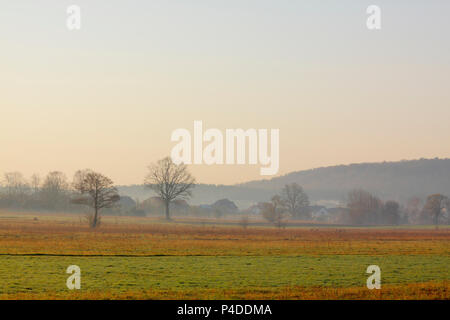Mattina nebuloso su prati. Polonia, Santa Croce montagne. Foto Stock
