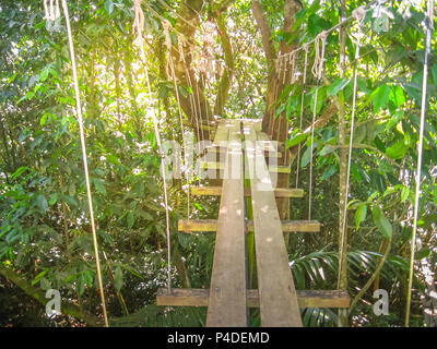 Ponti sospesi in cima degli alberi in Parc Des Mamelles, Guadalupa, nel mezzo della foresta pluviale su Chemin de la Retraite, Basse Terre, francese dei Caraibi. Foto Stock