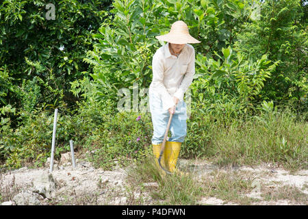 L'agricoltore in Asia terra di pulizia. Foto Stock