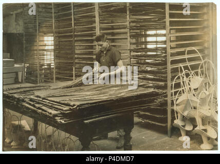 15-anno vecchio ragazzo di smistamento foglie di Cycas, Boston alimentazione floreali Co., 347-357 Cambridge Street. Ha detto di essere l'unica fabbrica di fiori in Massachusetts. LOC nclc.05195. Foto Stock