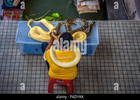 Venditore locale offre immagini con una python per turisti in Thailandia Foto Stock