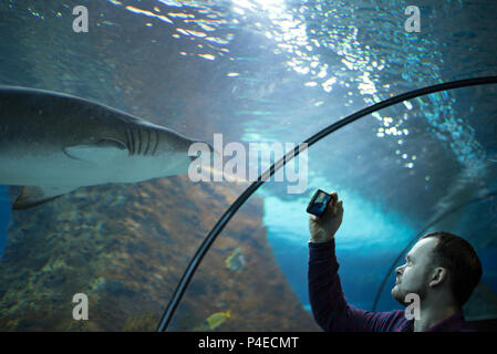 Interni orizzontali shot dell'uomo guarda la Shark e effettuare riprese in smartphone nel centro oceanarium. Foto Stock