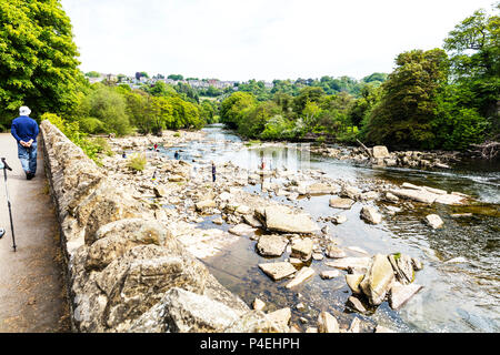 Richmond Yorkshire Regno Unito, famiglie a giocare nel fiume Swale Richmond Yorkshire, giocando nel fiume Fiume Swale Richmond, sul fiume fiume Swale Yorkshire Foto Stock