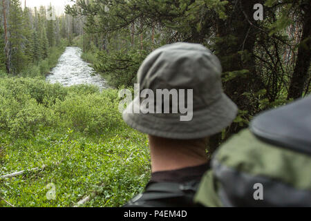 Vista posteriore di un escursionista guardando un fiume, Wyoming America, STATI UNITI D'AMERICA Foto Stock