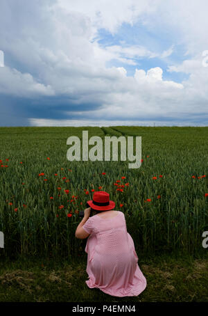 Donna fotografare fiori di papavero in un campo, Niort Nouvelle-Aquitaine, Francia Foto Stock