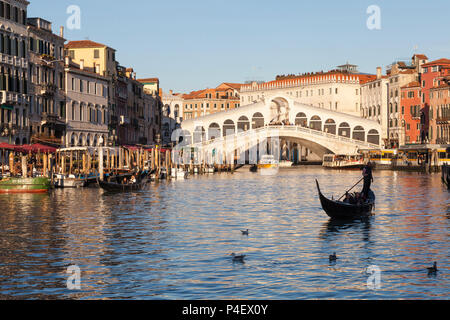 Ponte di Rialto al tramonto con le gondole e il traffico delle barche, Grand Canal, Venezia Veneto Italia . Ora d'oro , gabbiani bobbing sull'acqua Foto Stock