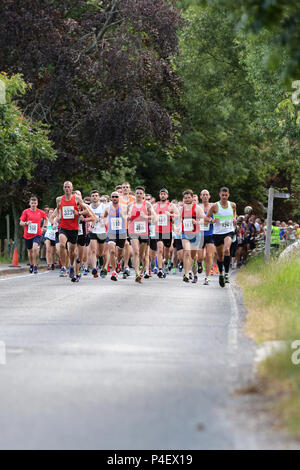 Il Chichester Runners Club metà estate 5 corsa su strada che inizia a Lavant e corre attraverso Goodwood Racecourse, West Sussex, Regno Unito. Foto Stock