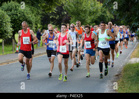 Il Chichester Runners Club metà estate 5 corsa su strada che inizia a Lavant e corre attraverso Goodwood Racecourse, West Sussex, Regno Unito. Foto Stock