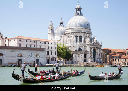 Gondole con i turisti di fronte alla Basilica di Santa Maria della Salute, Grand Canal, Dorsoduro, Venezia, Veneto, Italia in Early Morning Light Foto Stock