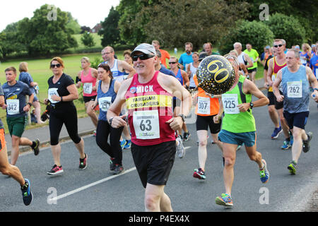 Il Chichester Runners Club metà estate 5 corsa su strada che inizia a Lavant e corre attraverso Goodwood Racecourse, West Sussex, Regno Unito. Foto Stock