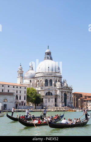 Gondole con i turisti di fronte alla Basilica di Santa Maria della Salute, Grand Canal, Dorsoduro, Venezia, Veneto, Italia in Early Morning Light Foto Stock