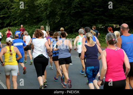 Il Chichester Runners Club metà estate 5 corsa su strada che inizia a Lavant e corre attraverso Goodwood Racecourse, West Sussex, Regno Unito. Foto Stock