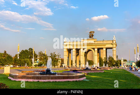 Fontane all'All-Russia al centro esposizioni di Mosca Foto Stock