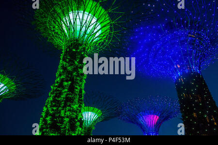 Supertrees in Gardens by the Bay in Singapore Foto Stock