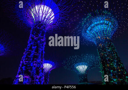 Supertrees in Gardens by the Bay in Singapore Foto Stock