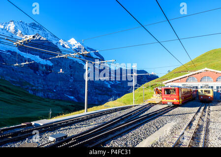 Famoso treno tra Grindelwald e la stazione Jungfraujoch - Linea ferroviaria alla sommità dell'Europa, Svizzera Foto Stock