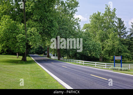 Country Road scomparendo in alti alberi frondosi per un estate scenic drive attraverso il paesaggio rurale, Maryland, Stati Uniti d'America. Foto Stock