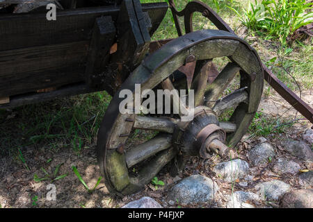 Una vecchia ruota in legno con un cerchio metallico su un carrello rurale crebbe nel terreno, close-up Foto Stock