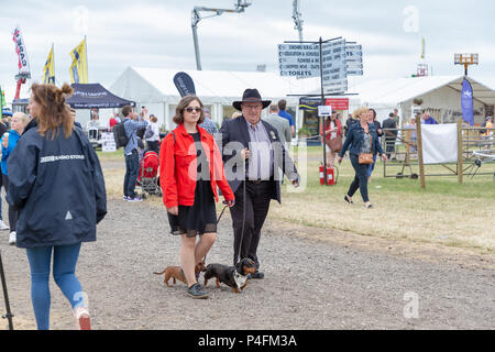 19 & 20 giugno 2018 - Il Cheshire Showground a Creta Fattoria Flittogate Lane, Knutsford ha ospitato il 2018 Royal Contea di Cheshire Show. La mostra è ab Foto Stock