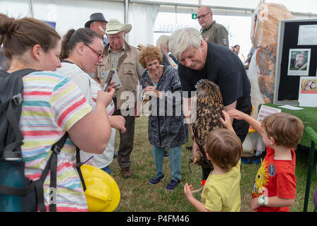 19 & 20 giugno 2018 - Il Cheshire Showground a Creta Fattoria Flittogate Lane, Knutsford ha ospitato il 2018 Royal Contea di Cheshire Show. La mostra è ab Foto Stock