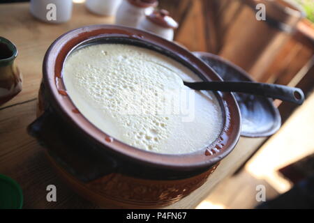 Yogurt bulgaro in una ciotola, closeup shot. Foto Stock