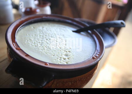 Yogurt bulgaro in una ciotola, closeup shot. Foto Stock