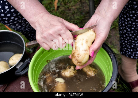 Donna es la pelatura patate fresche con coltello, vista dall'alto Foto Stock