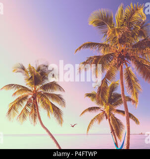 Amaca sospesa su palme come retrò spiaggia tropicale sfondo Foto Stock