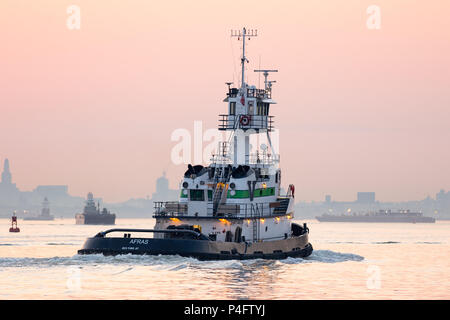 White rimorchiatore in direzione est all'alba sul Porto di New York Foto Stock