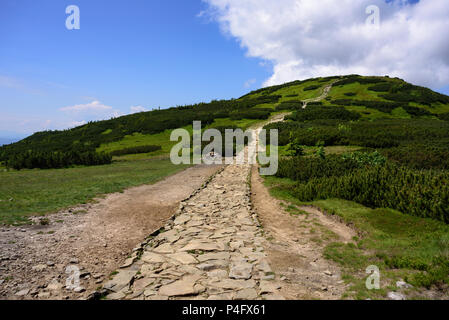 Sentiero attraverso i monti Tatra. Babia Gora peak Foto Stock