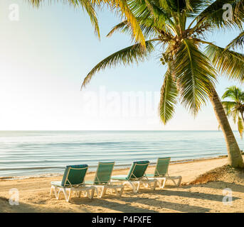 Isola tropicale vacanza con sdraio sotto palme da calma ocean Foto Stock