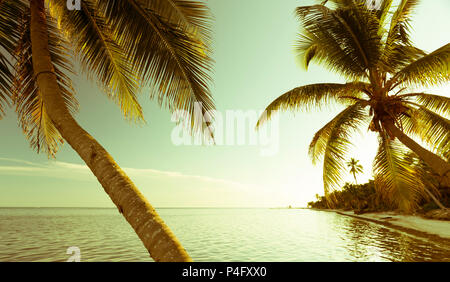 Vintage spiaggia tropicale scena con palme sull'oceano Foto Stock