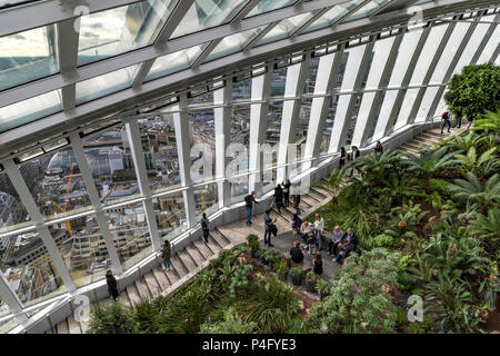 Lo Sky Garden, una galleria pubblica in cima a 20 Fenchurch Street, conosciuta anche come Walkie Talkie Building, nella città di Londra, Regno Unito Foto Stock