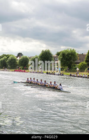 Mens equipaggio in barca sul fiume Cam prendendo parte al dossi riga barca regata in estate, Cambridge, Regno Unito Foto Stock