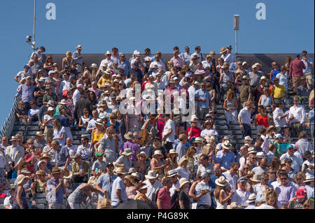 La Queen's Club di Londra, Regno Unito. 22 Giugno, 2018. Giorno 5 quarti di finale di partita sul Centre Court con gli spettatori sul supporto superiore la visione di Adrian Mannarino (FRA) play Novak Djokovic (SRB) in sole caldo. Credito: Malcolm Park/Alamy Live News. Foto Stock