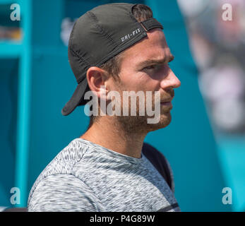 La Queen's Club di Londra, Regno Unito. 22 Giugno, 2018. Giorno 5 quarti di finale di partita sul Centre Court con Adrian Mannarino (FRA) vs Novak Djokovic (SRB). Credito: Malcolm Park/Alamy Live News. Foto Stock