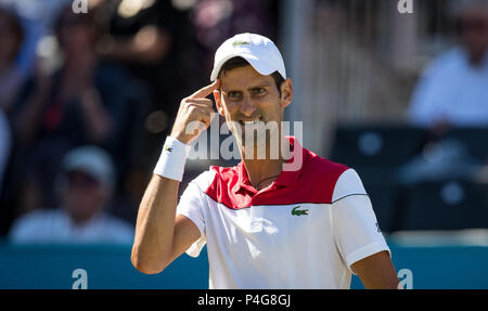 Queens Club di Londra, Regno Unito. Il 22 giugno 2018. Durante gli Uomini Singoli QF alla febbre campionati ad albero (Queens Tennis Club 2018) Giorno 7 presso la Queen's Club di Londra, Inghilterra il 22 giugno 2018. Foto di Andy Rowland. Credito: Andrew Rowland/Alamy Live News Foto Stock