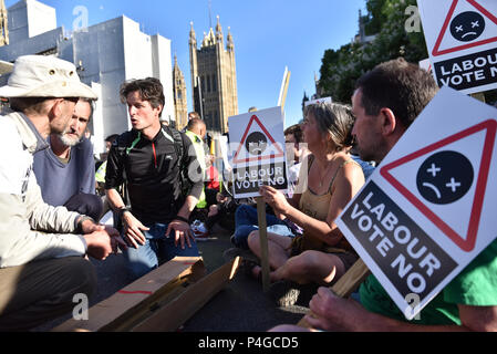 La piazza del Parlamento, Londra, Regno Unito. Il 22 giugno 2018. "Votare No Heathrow" gruppo di protesta stadio a sedersi di protesta in mezzo alla strada e fermare il traffico a Piazza del Parlamento per protestare contro l'espansione dell'aeroporto di Heathrow Credito: Matteo Chattle/Alamy Live News Foto Stock