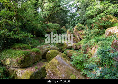 Le Chaos de Rochers, Huelgoat, Finistère Bretagna, Francia Foto Stock