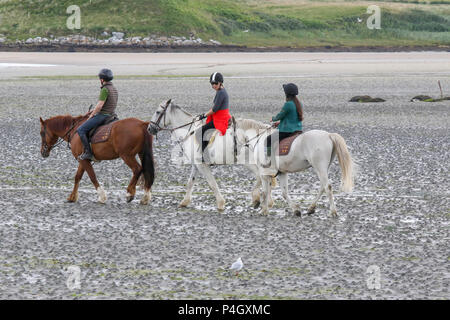 Tre cavalieri e cavalli sulle sabbie della Baia di Sheephaven Dunfanaghy County Donegal Irlanda Foto Stock