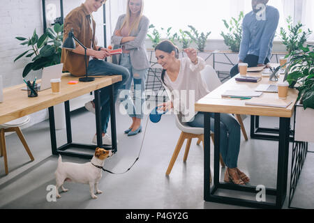 Imprenditrice giocando con jack russel terrier al guinzaglio e colleghi in piedi dietro in ufficio moderno Foto Stock