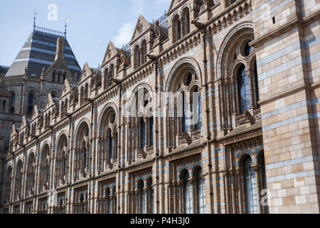 Museo di Storia Naturale di Londra Foto Stock